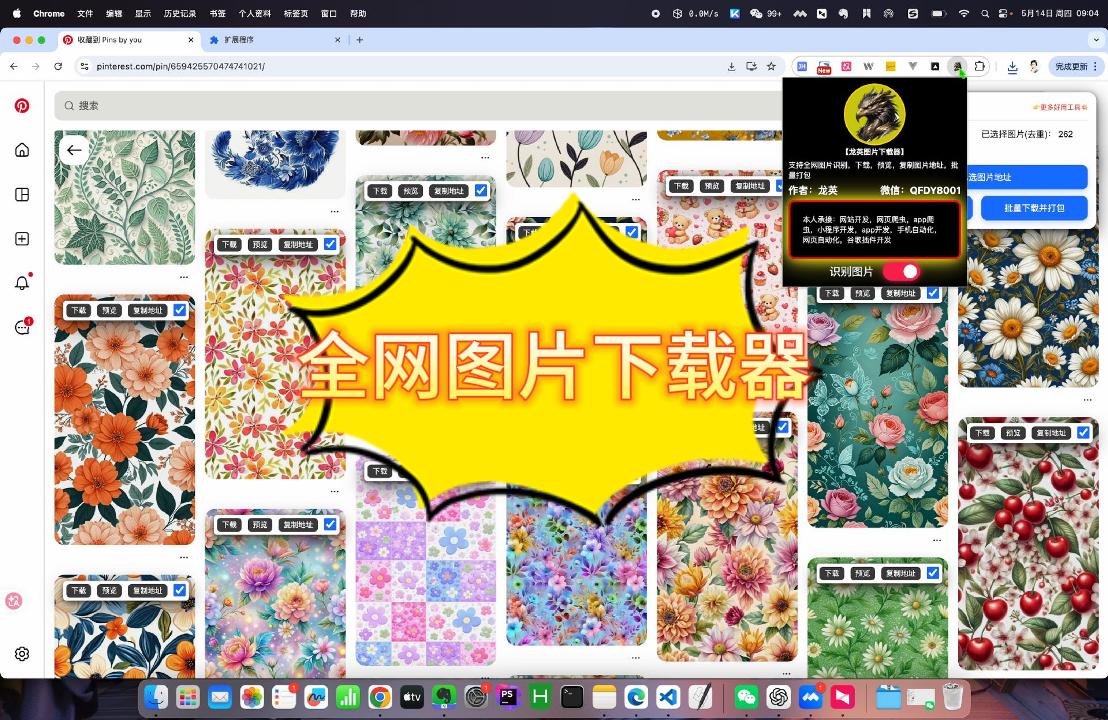 全网图片识别下载器